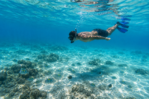 Snorkeling activity in the Gili Islands